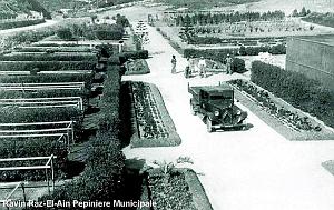Oran - Raz-El-Ain - Pepinieres